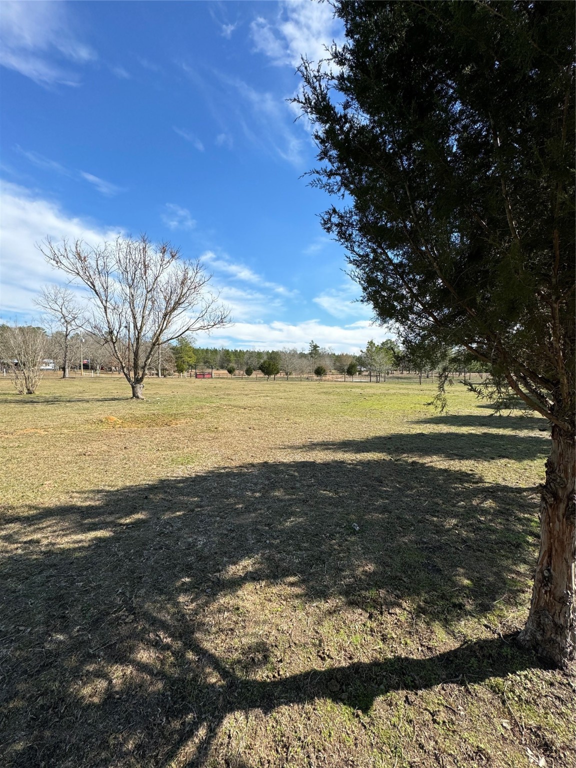 3660 Fm 1013 Road Property Photo 27