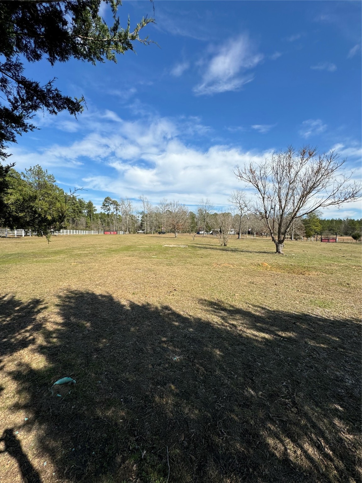 3660 Fm 1013 Road Property Photo 28