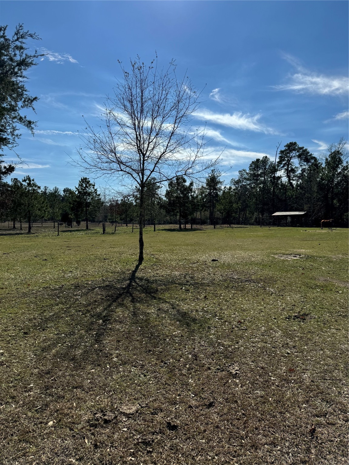 3660 Fm 1013 Road Property Photo 30