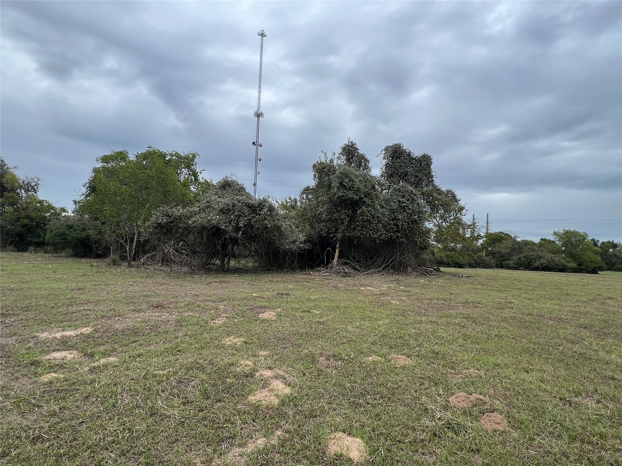 Lot 10 County Road 166 Property Photo