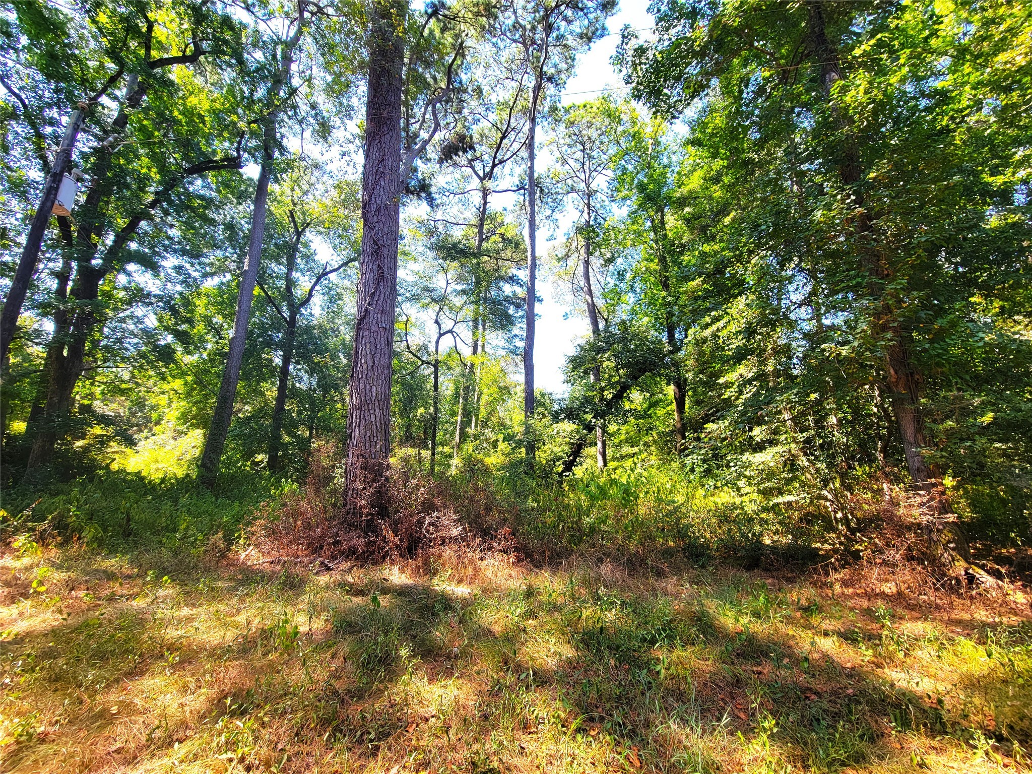 Tbd Mockingbird Lane Property Photo 1