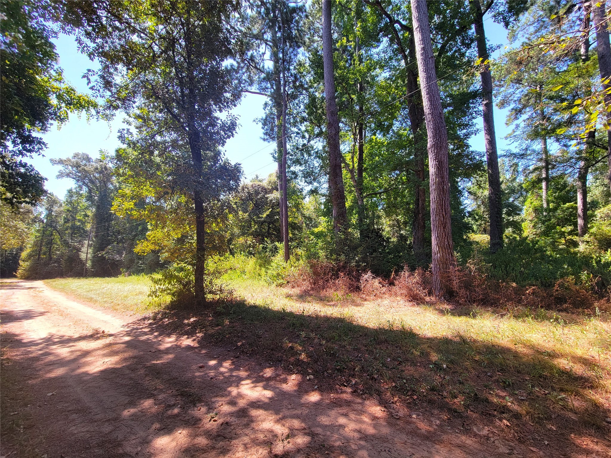 Tbd Mockingbird Lane Property Photo 4
