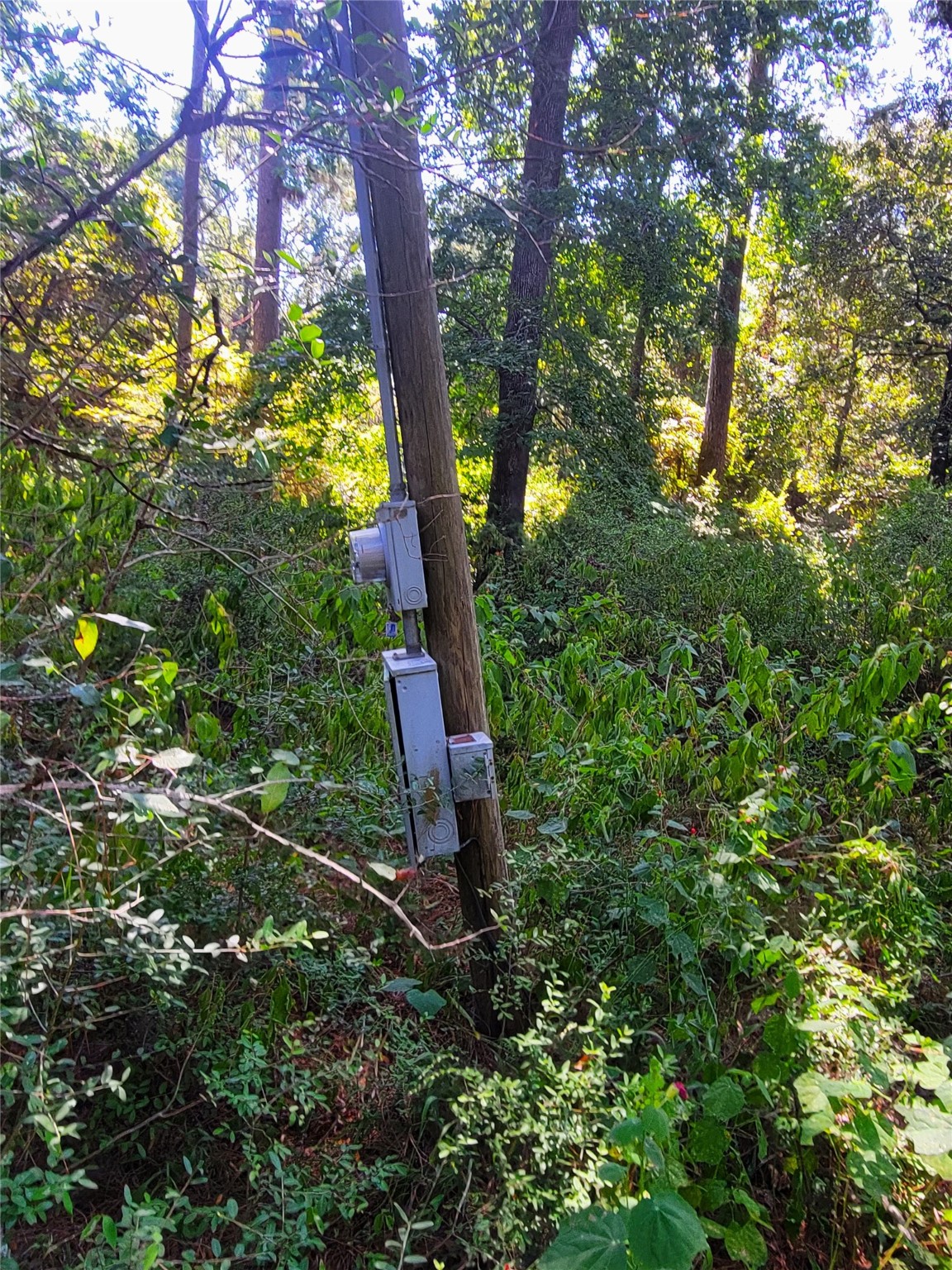 Tbd Mockingbird Lane Property Photo 5