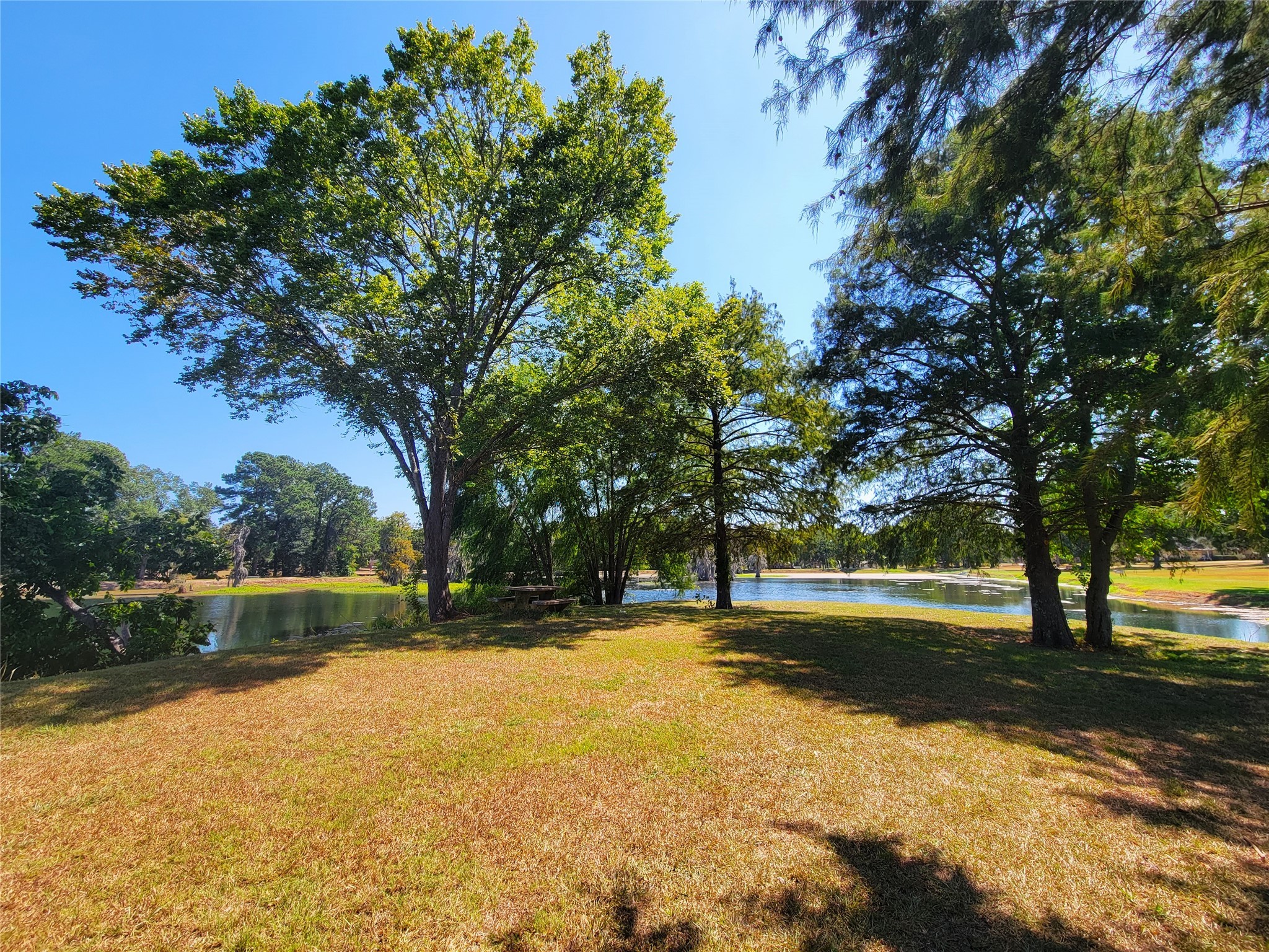 Tbd Mockingbird Lane Property Photo 10