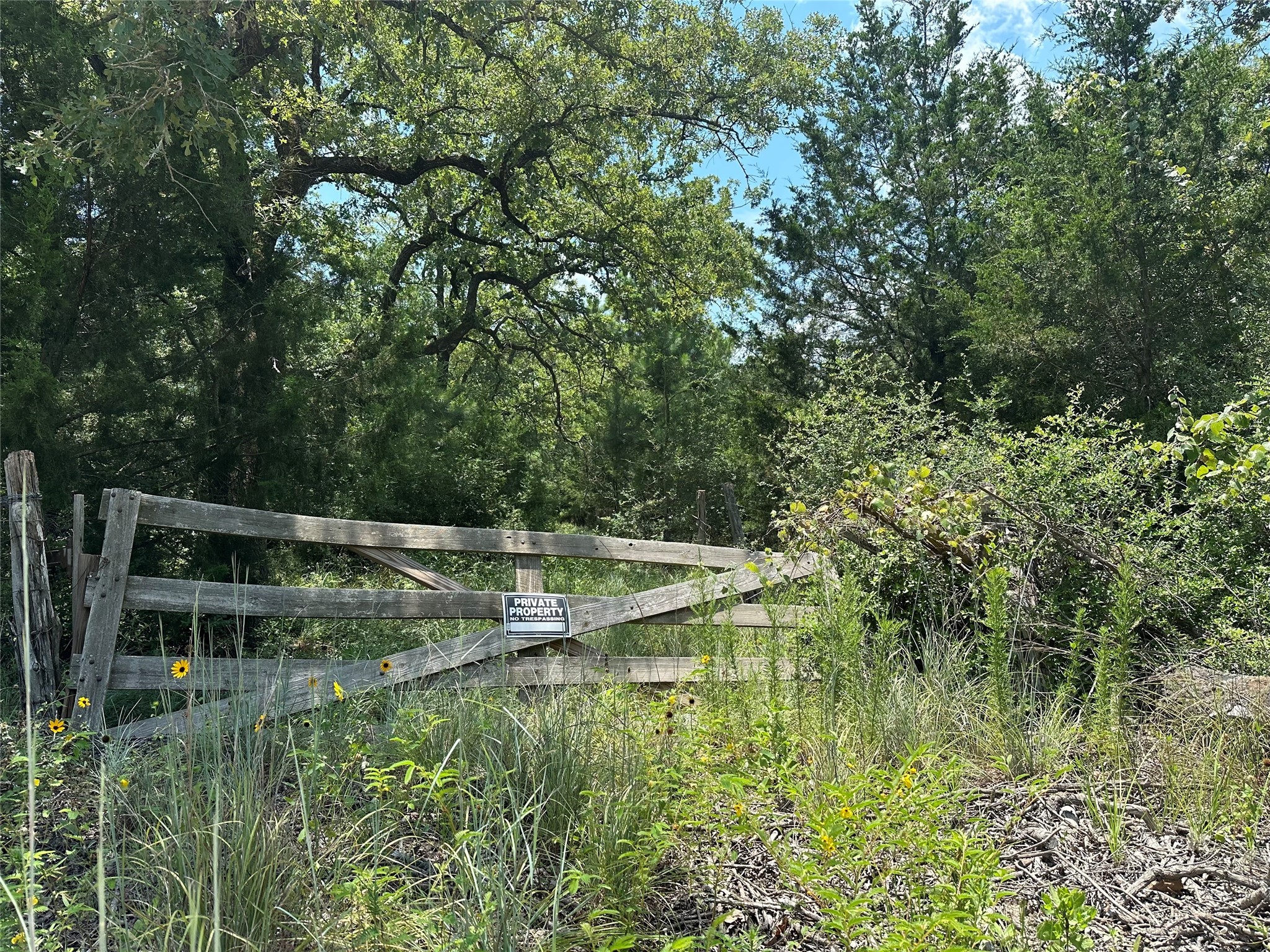Tbd Pr 4361 Property Photo 2