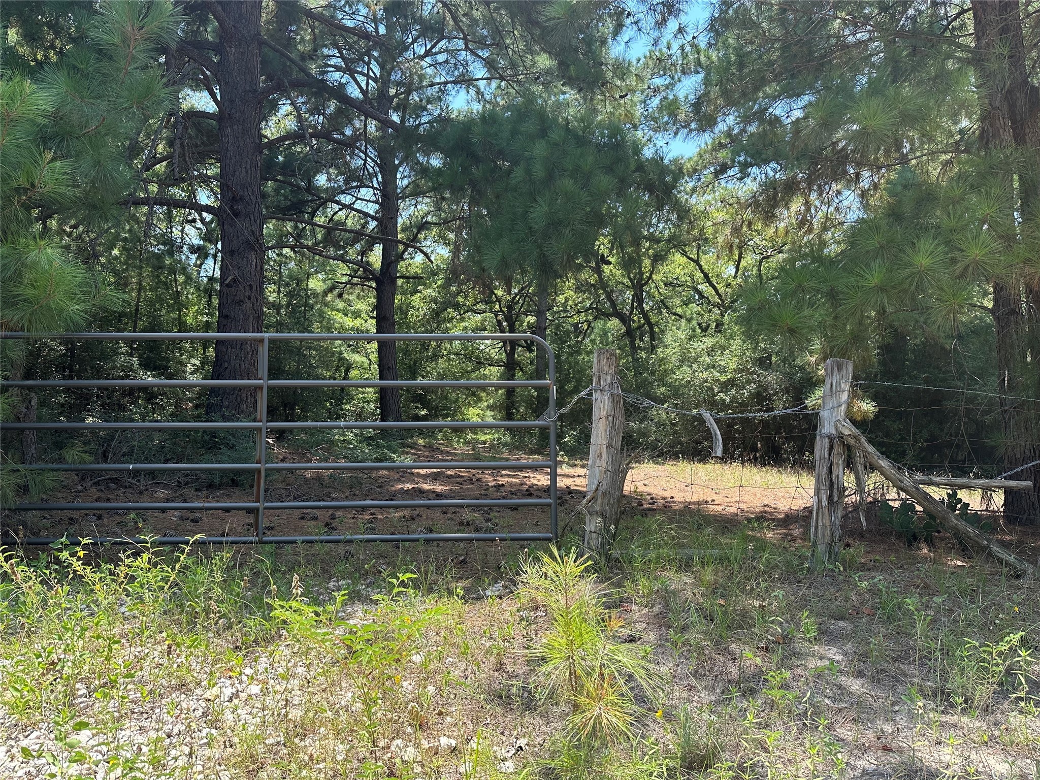 Tbd Pr 4361 Property Photo 3