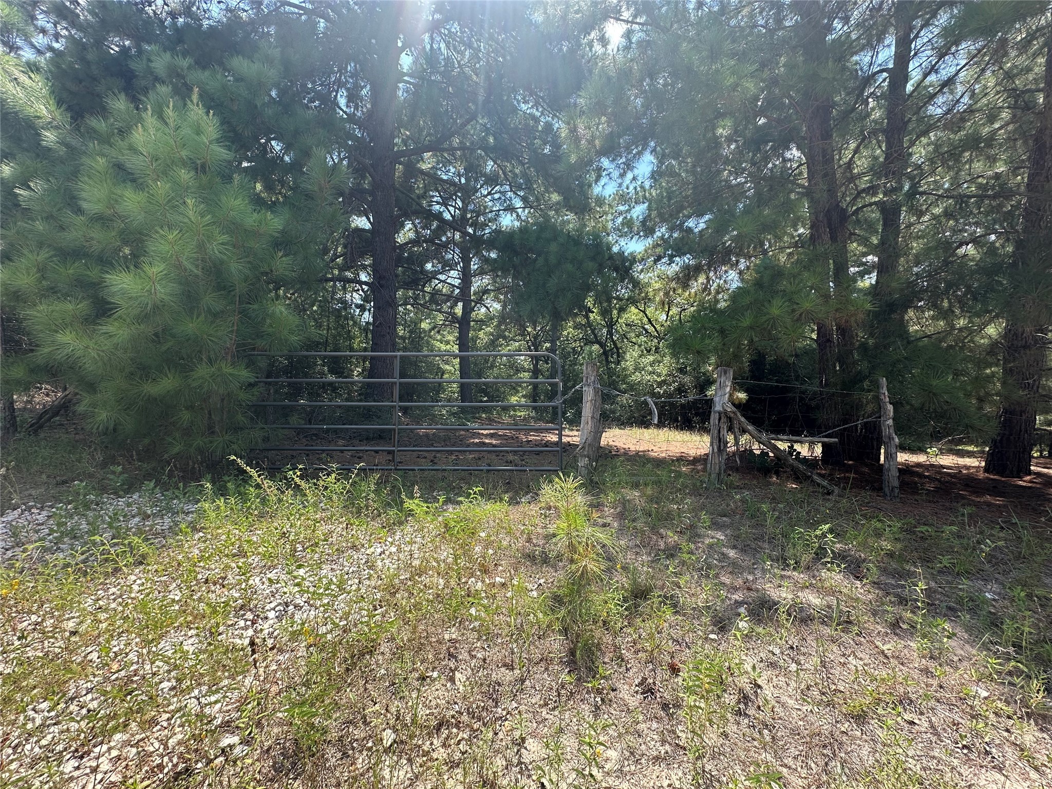 Tbd Pr 4361 Property Photo 4