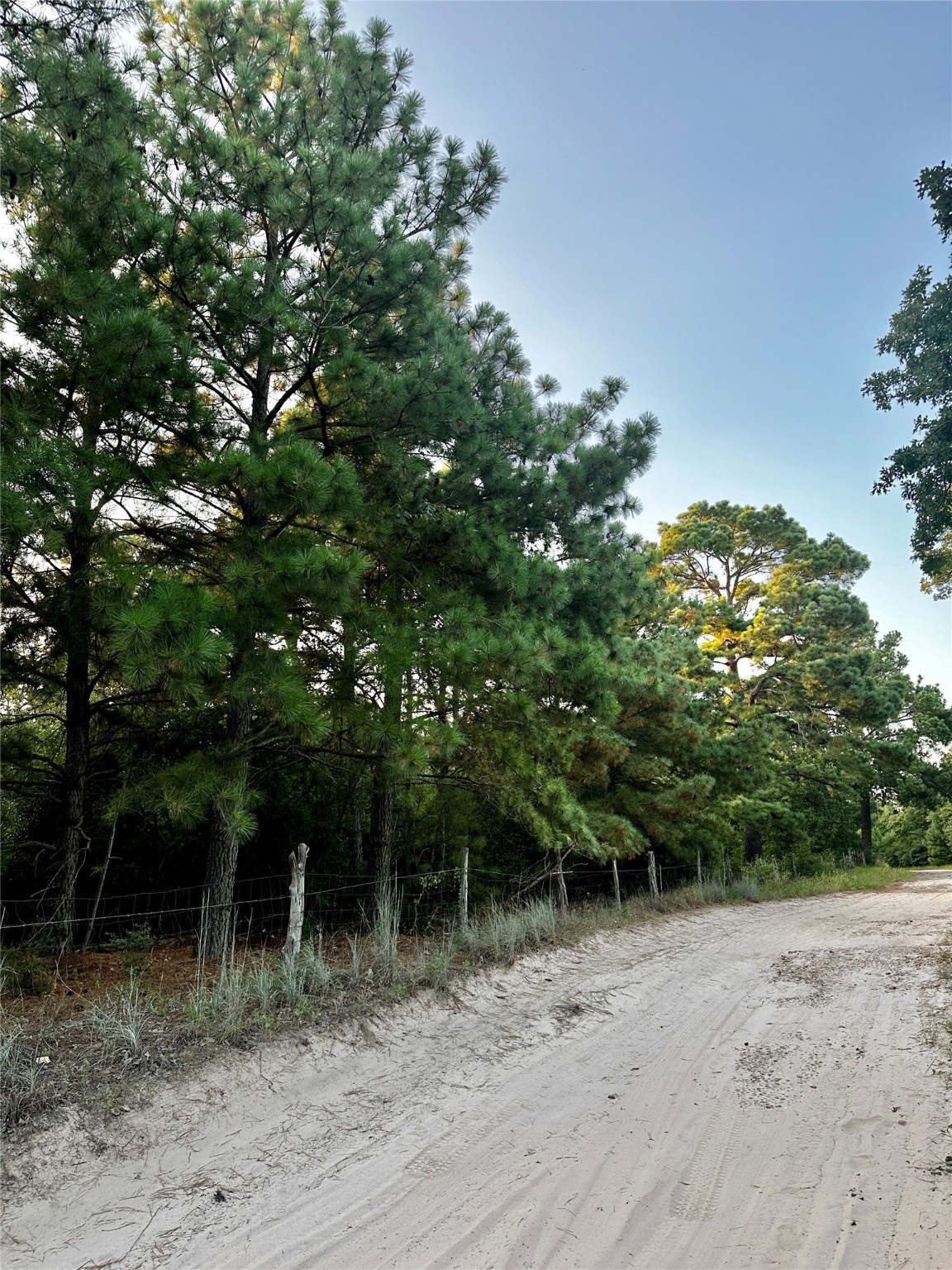 Tbd Pr 4361 Property Photo 9