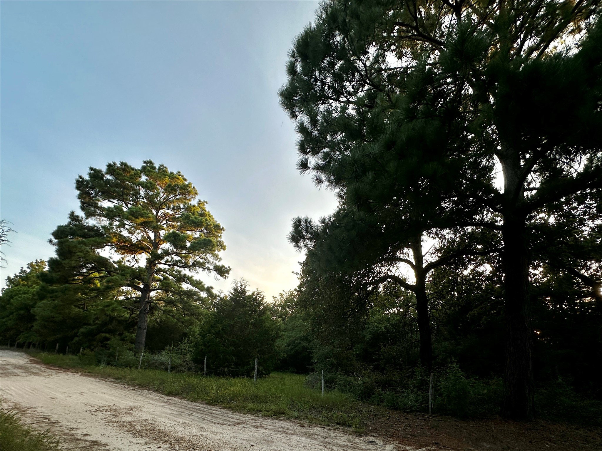 Tbd Pr 4361 Property Photo 10