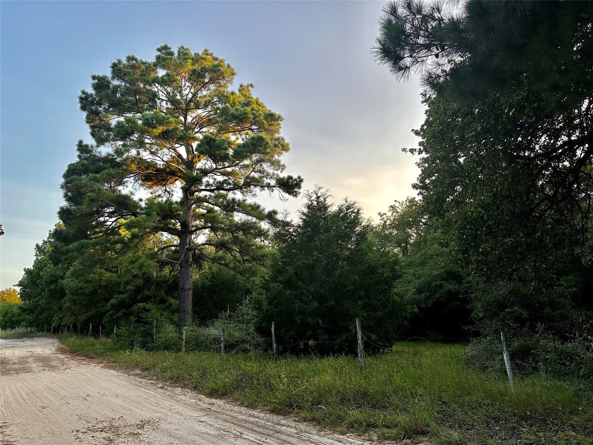 Tbd Pr 4361 Property Photo 11