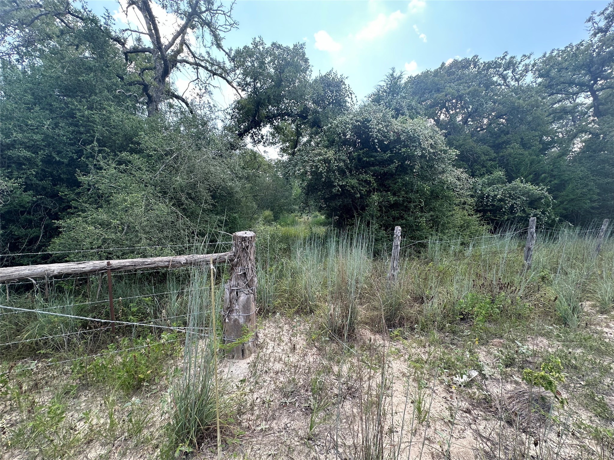 Tbd Pr 4361 Property Photo 13