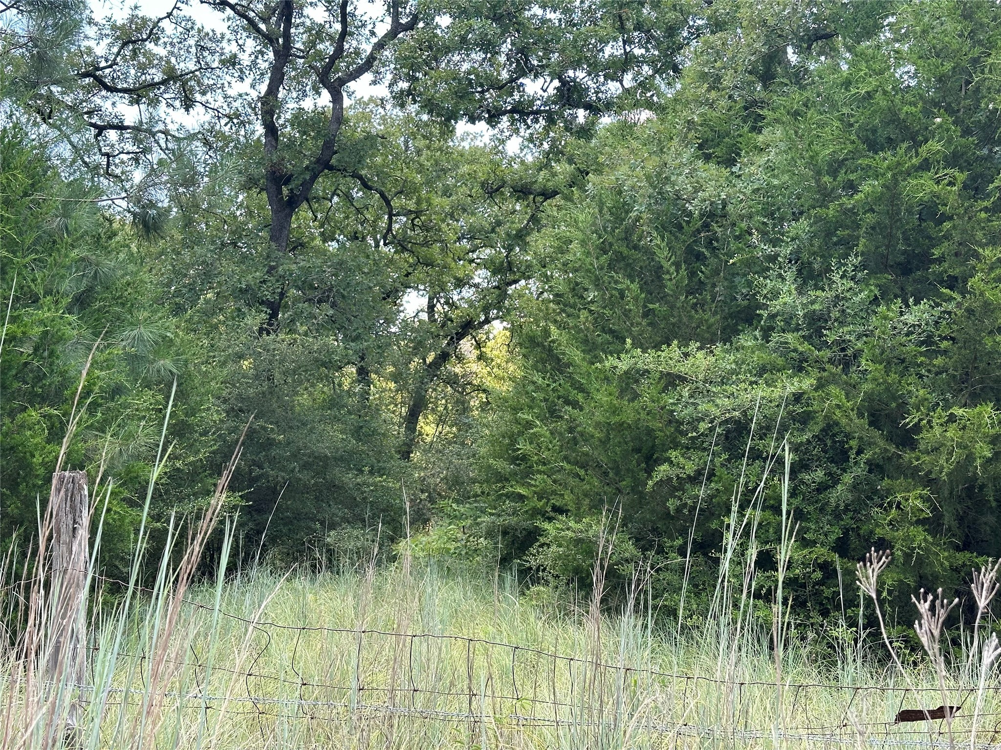 Tbd Pr 4361 Property Photo 14