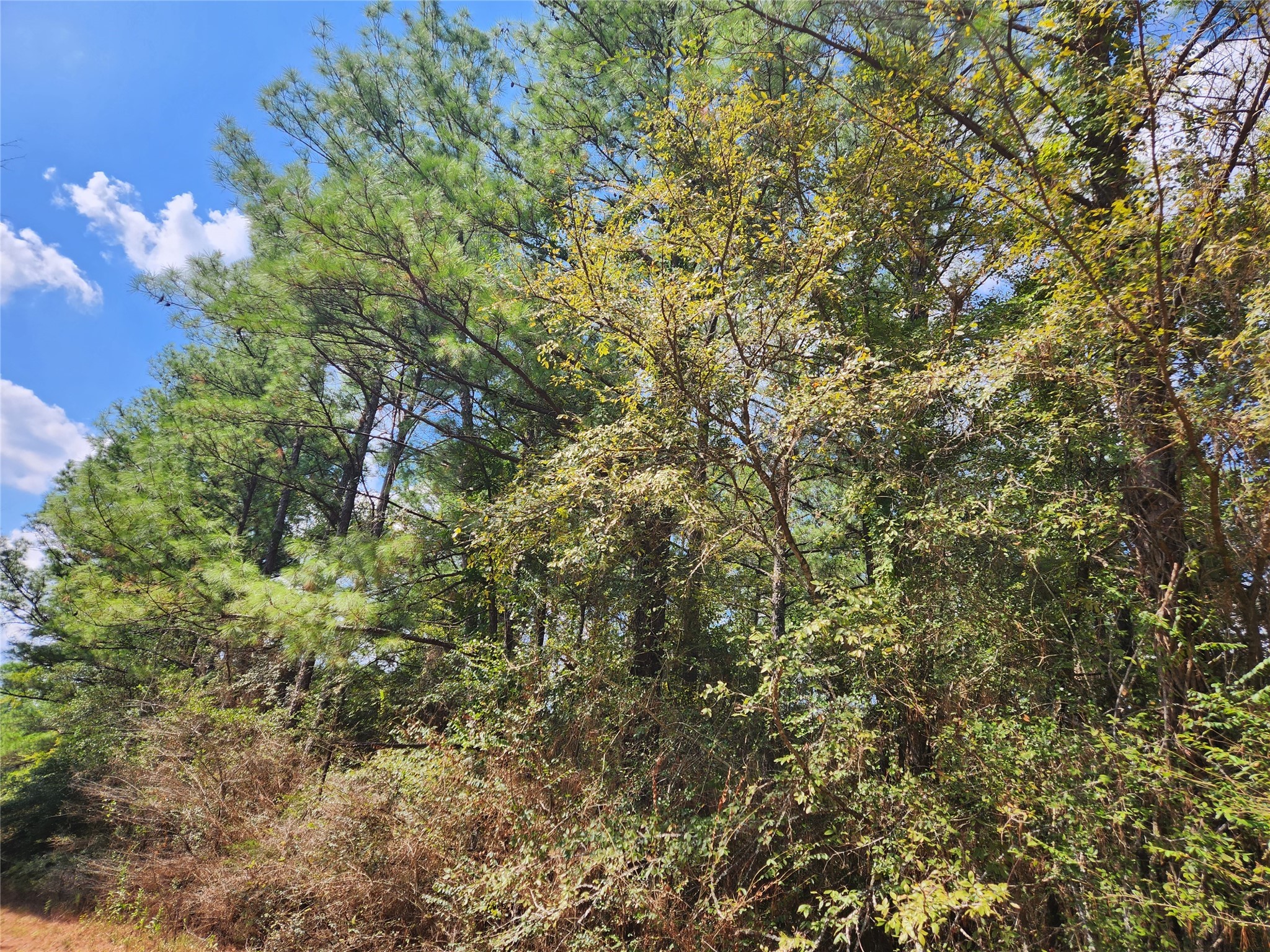 Lot 26 & 27 Eagle Drive Property Photo 1
