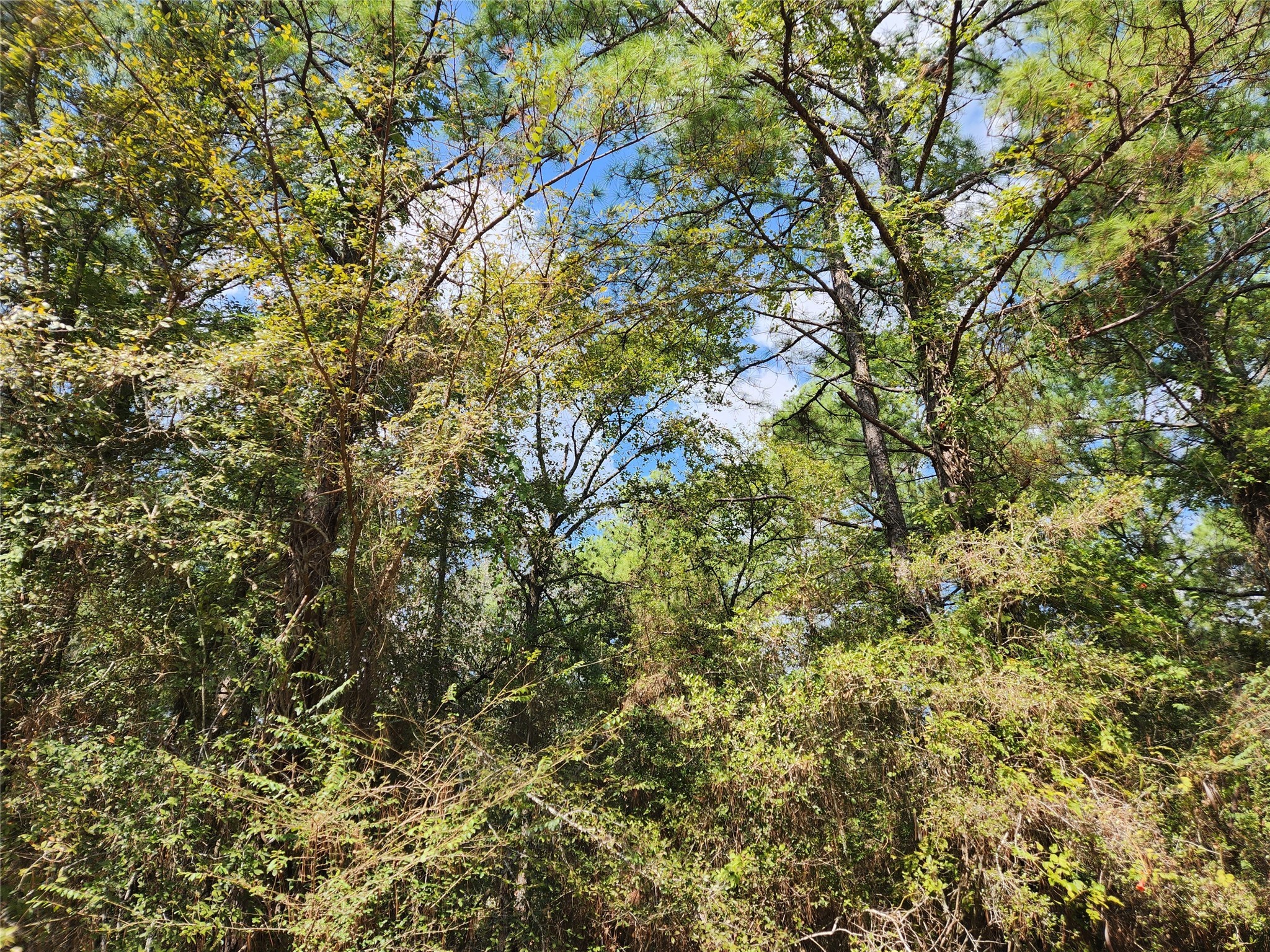 Lot 26 & 27 Eagle Drive Property Photo 3