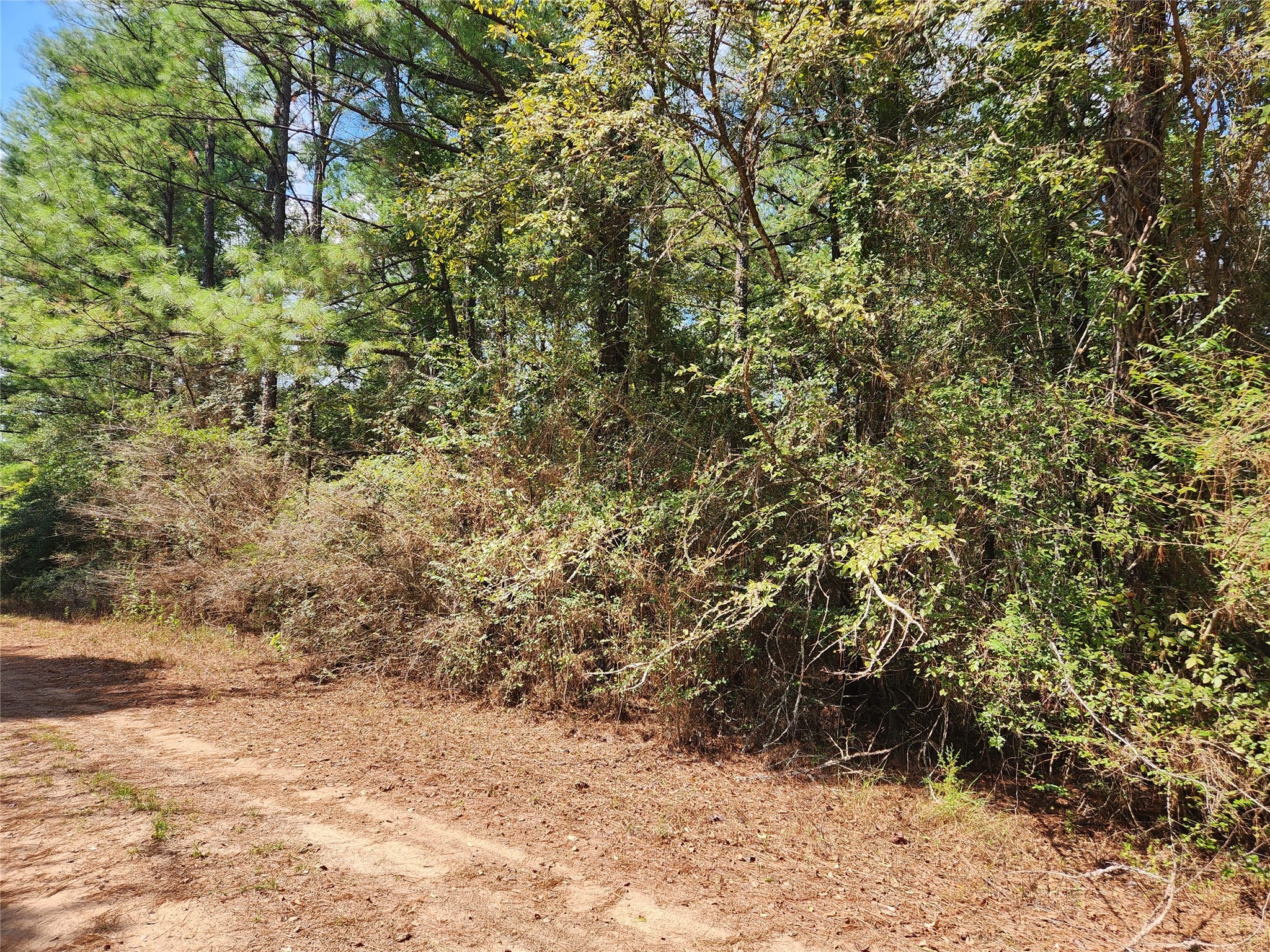 Lot 26 & 27 Eagle Drive Property Photo 4