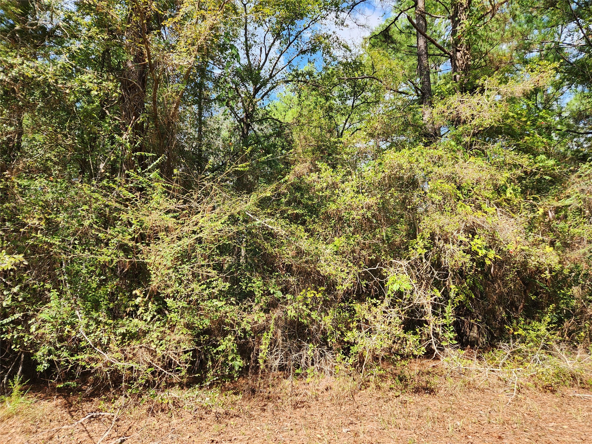 Lot 26 & 27 Eagle Drive Property Photo 5