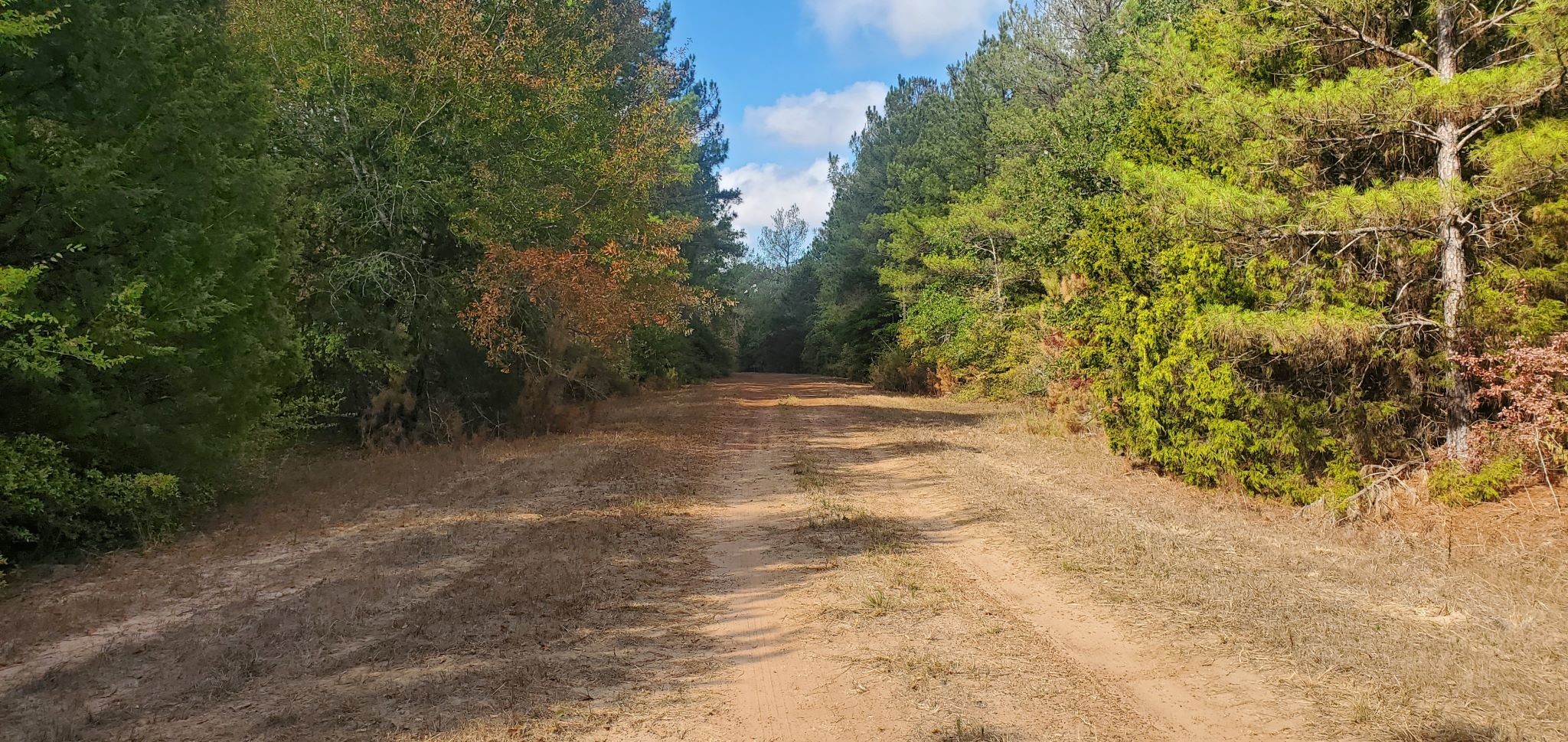 Lot 26 & 27 Eagle Drive Property Photo 6