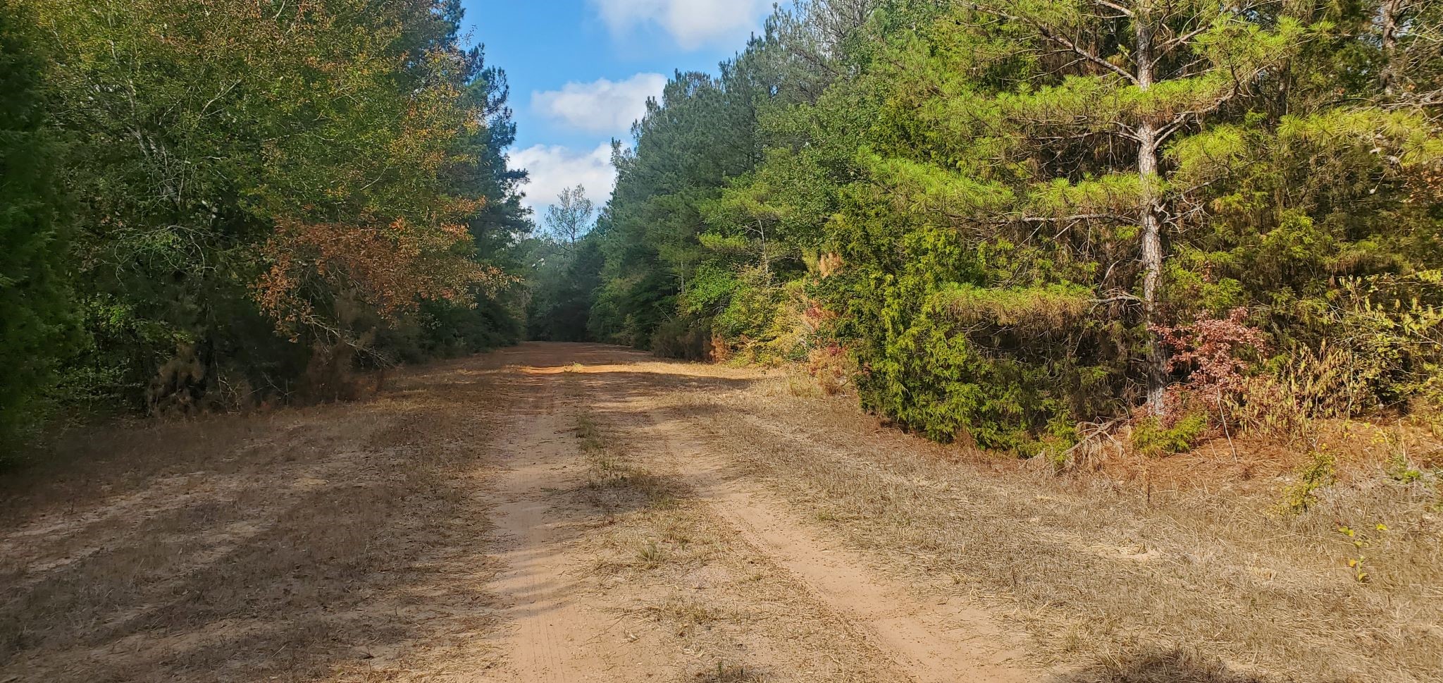 Lot 26 & 27 Eagle Drive Property Photo 7