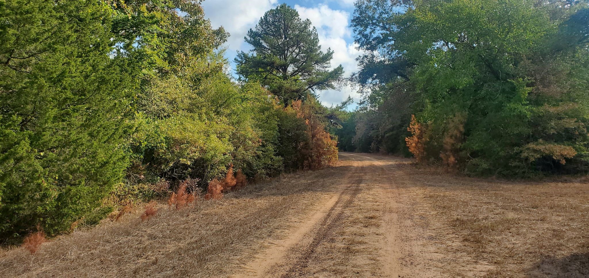 Lot 26 & 27 Eagle Drive Property Photo 8