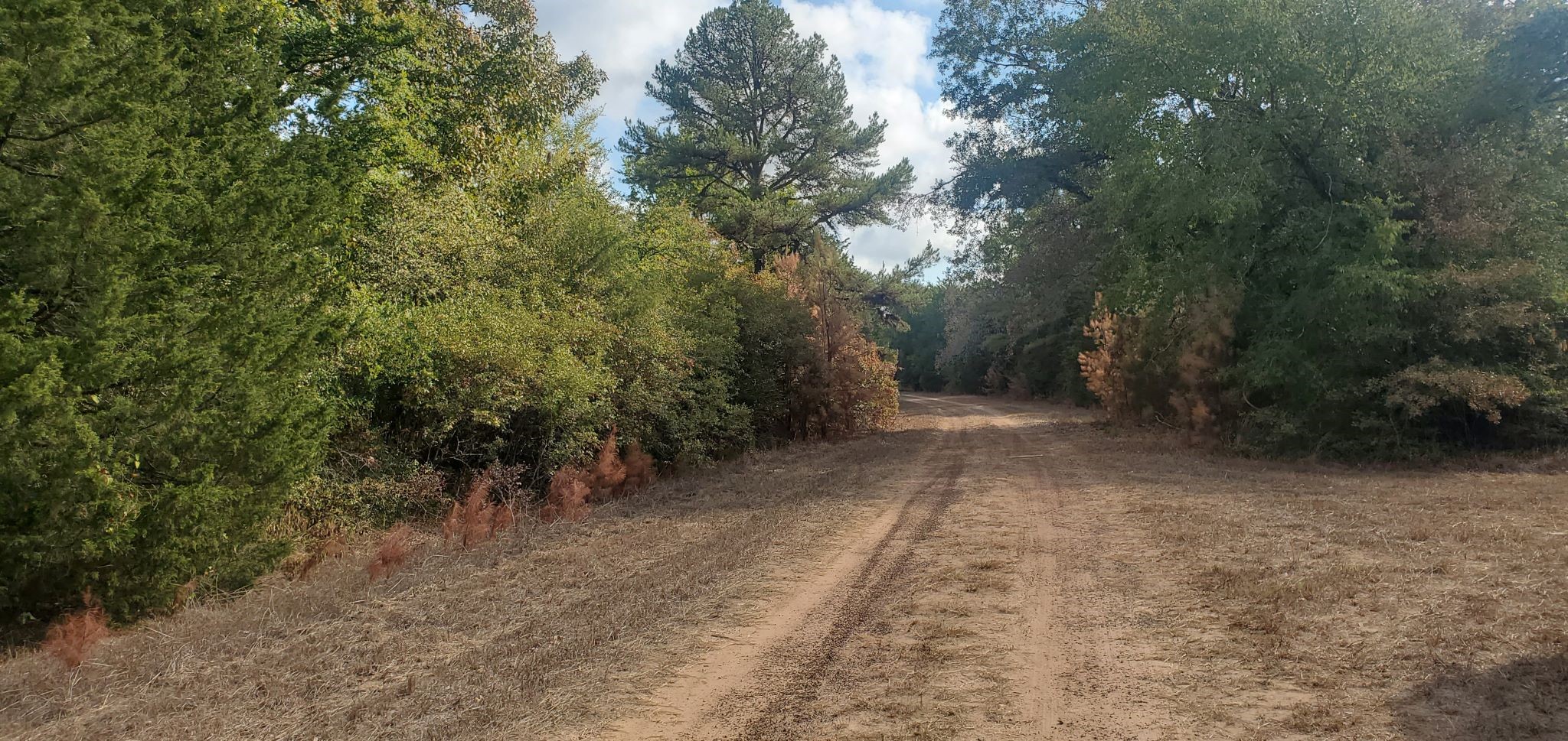 Lot 26 & 27 Eagle Drive Property Photo 9