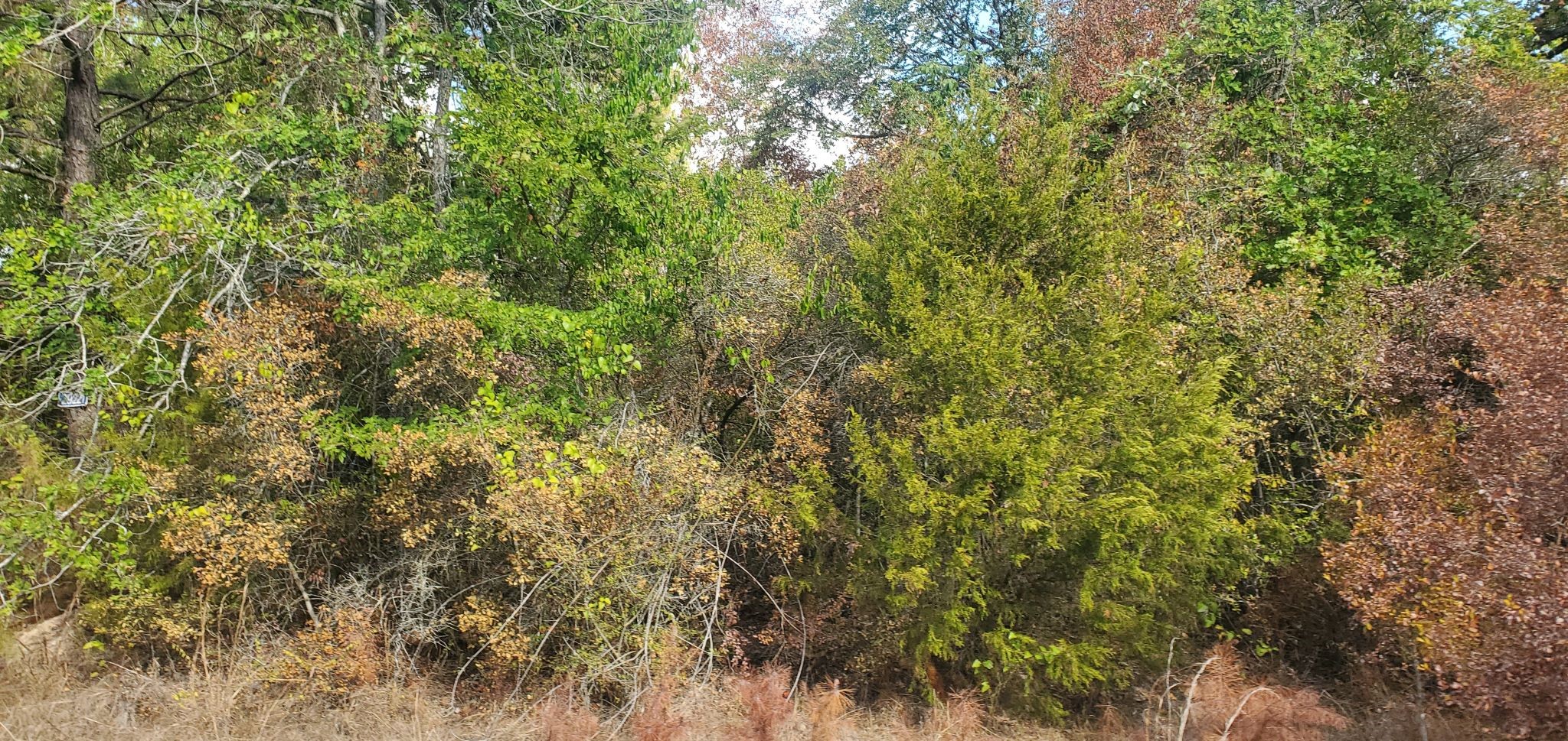 Lot 26 & 27 Eagle Drive Property Photo 10