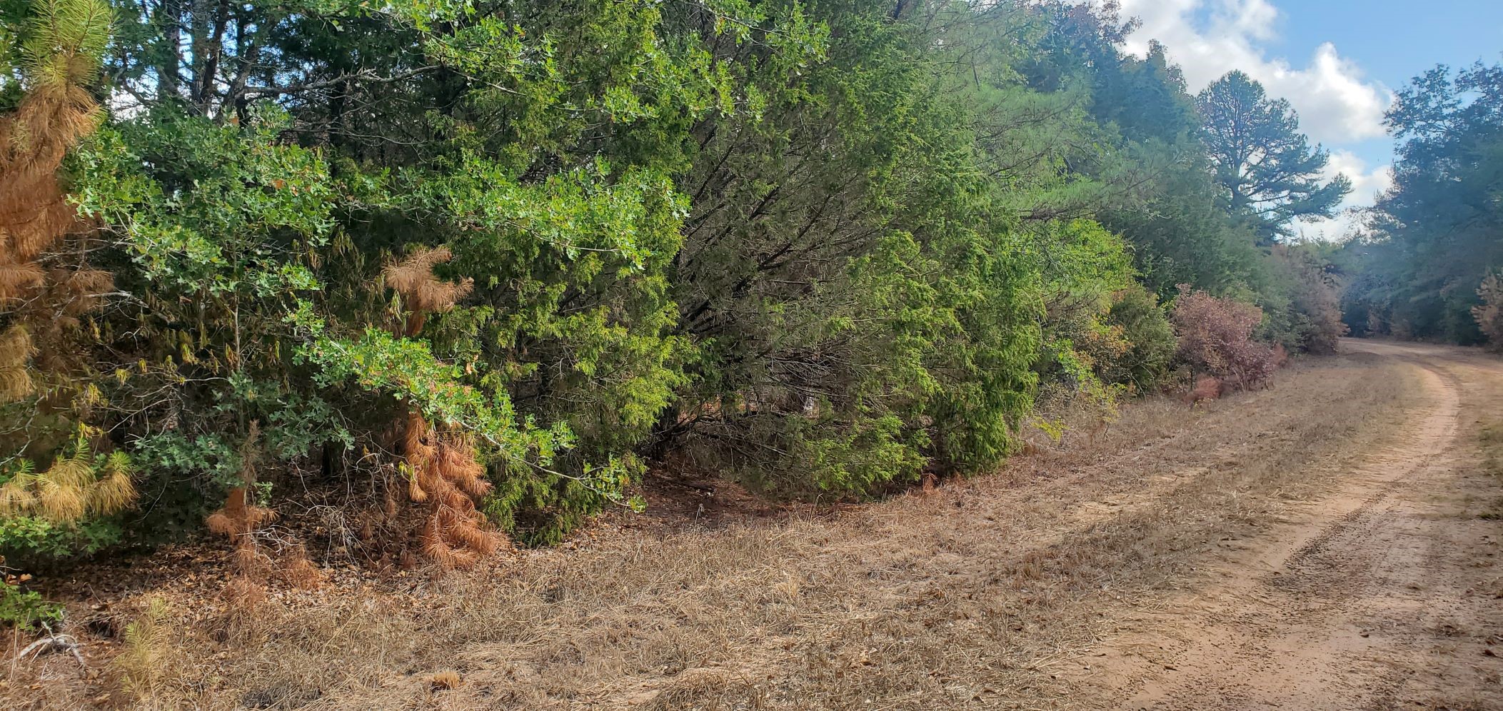 Lot 26 & 27 Eagle Drive Property Photo 13