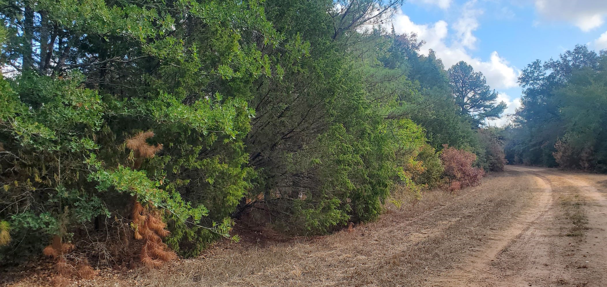 Lot 26 & 27 Eagle Drive Property Photo 14
