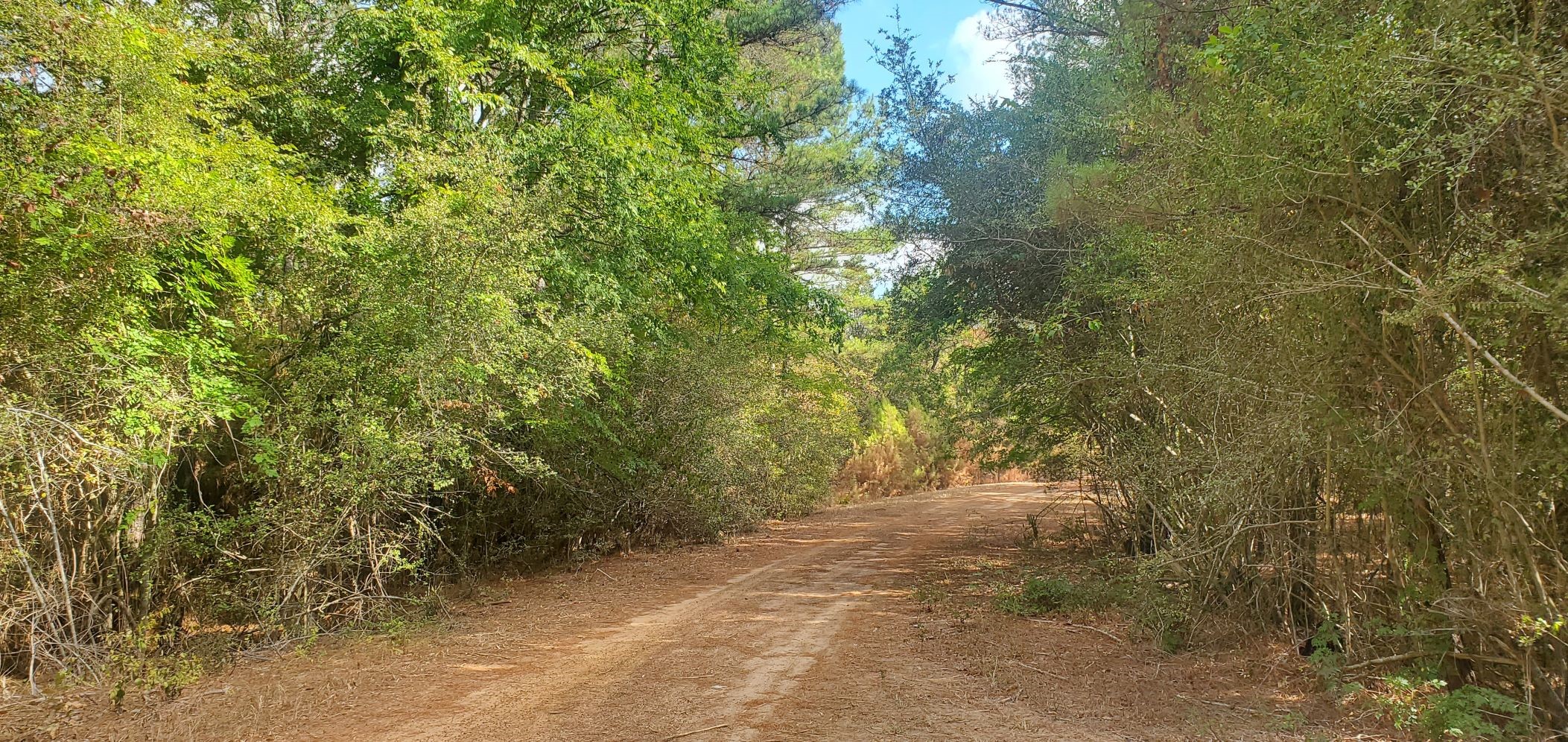 Lot 26 & 27 Eagle Drive Property Photo 15