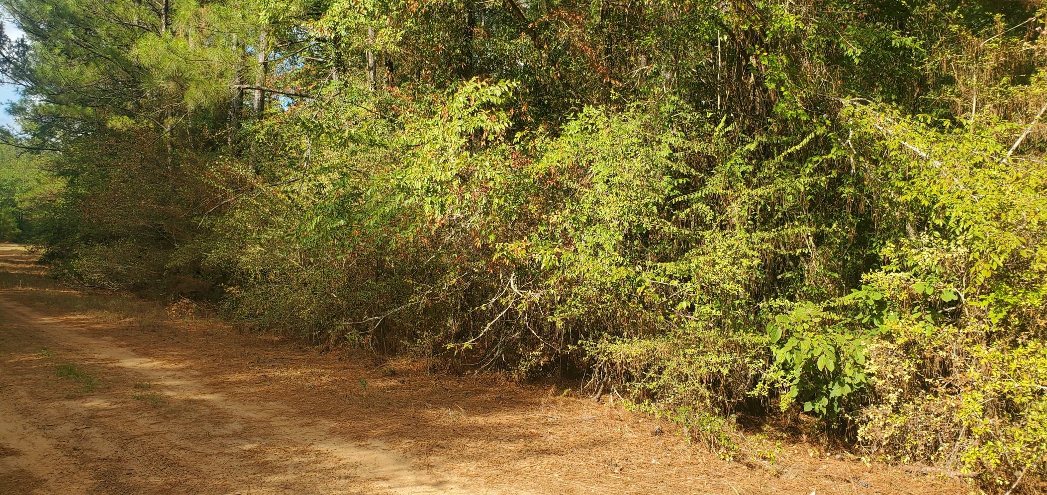 Lot 26 & 27 Eagle Drive Property Photo 17