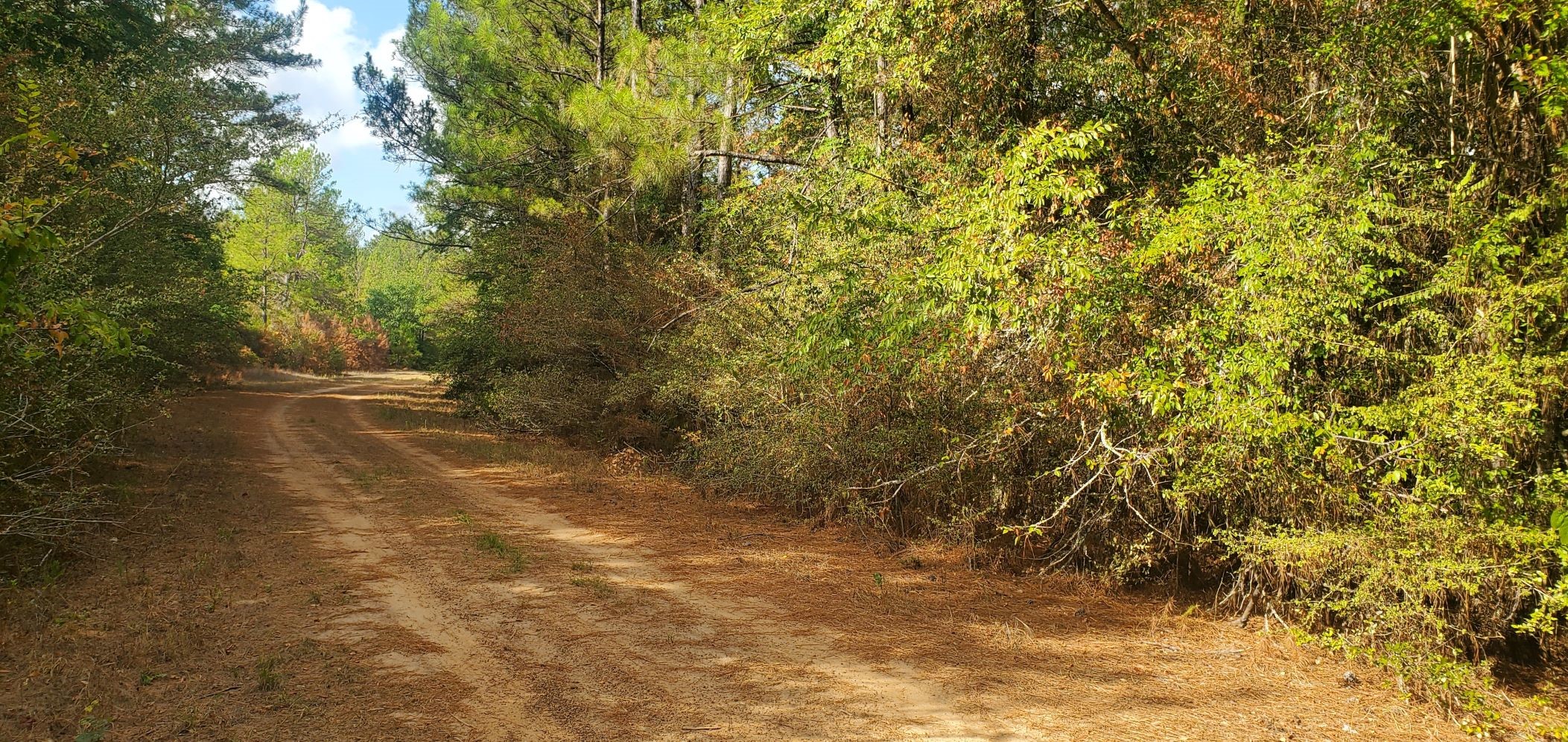 Lot 26 & 27 Eagle Drive Property Photo 18