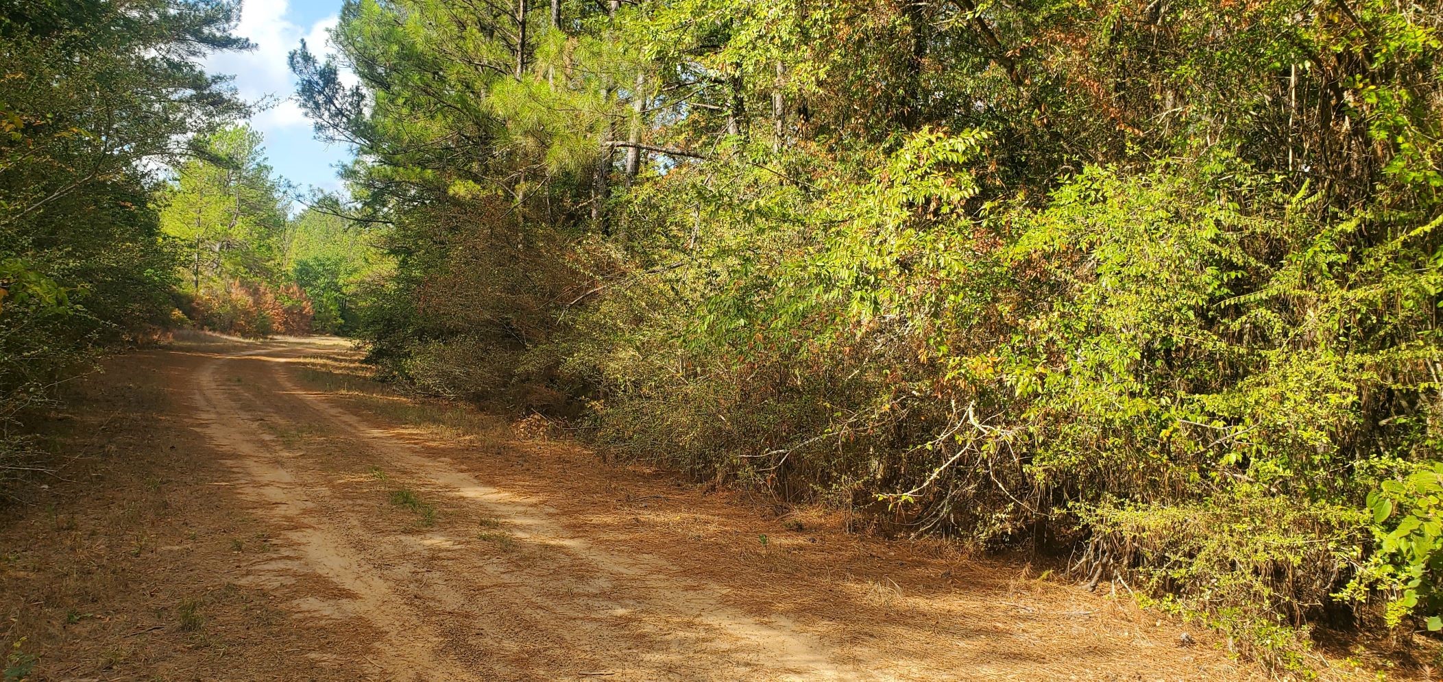 Lot 26 & 27 Eagle Drive Property Photo 19