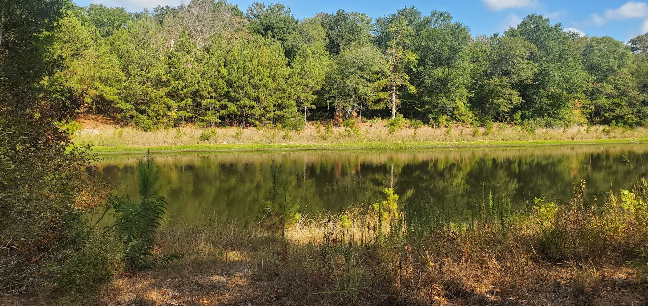 Lot 26 & 27 Eagle Drive Property Photo 20