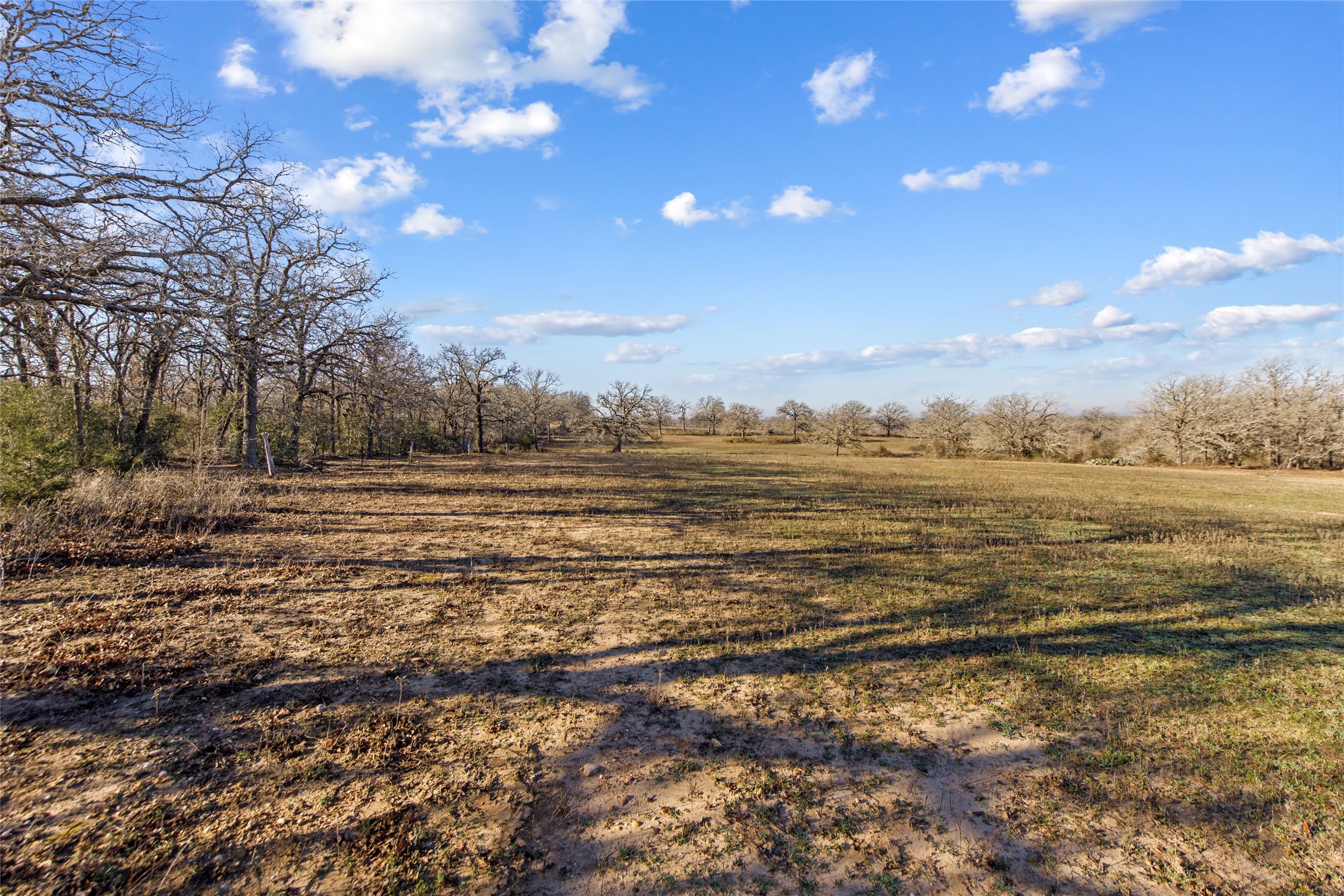 Tbd (tract 1) County Road 110 Property Photo