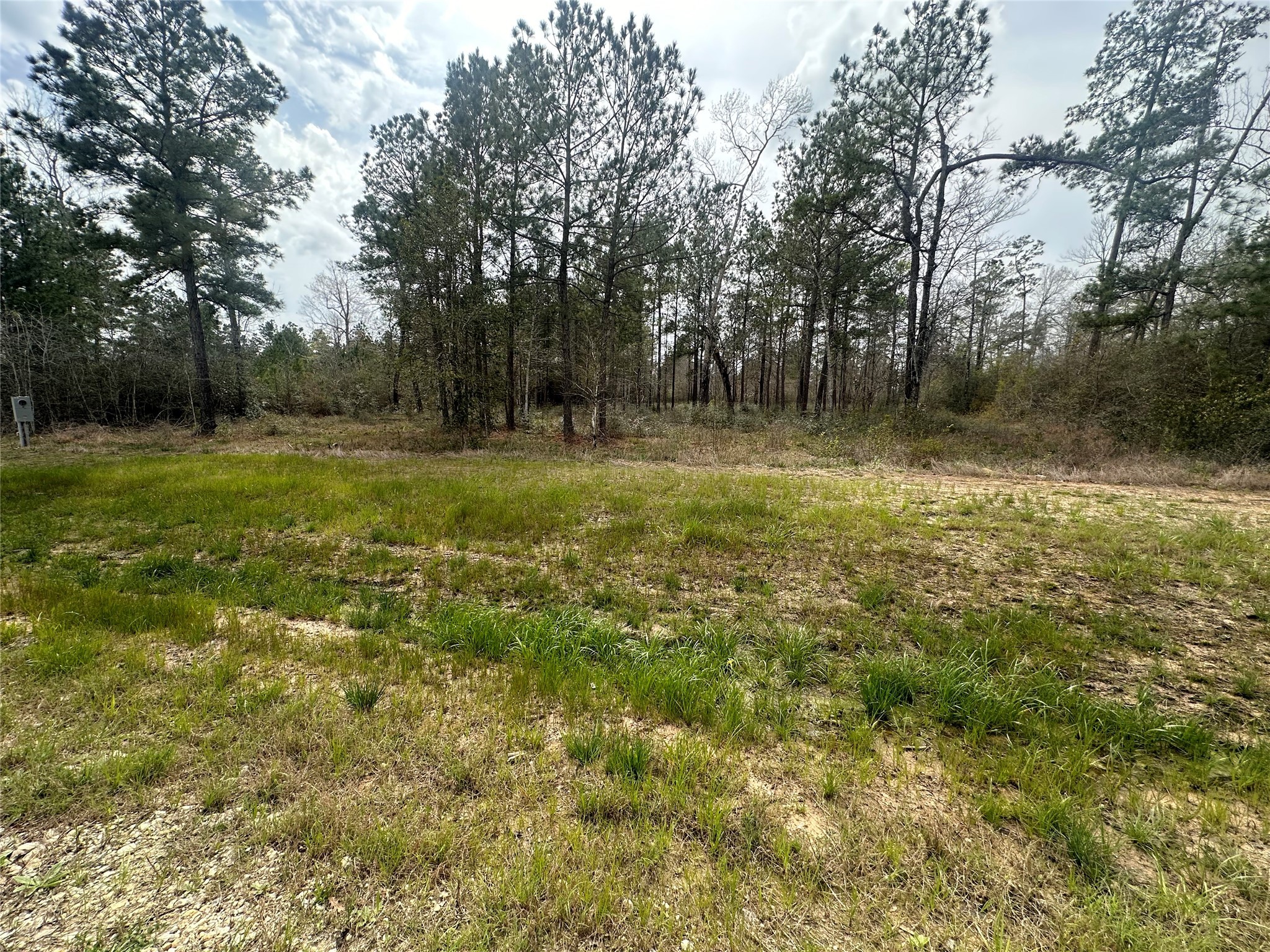219 Iron Horse Road Property Photo 2