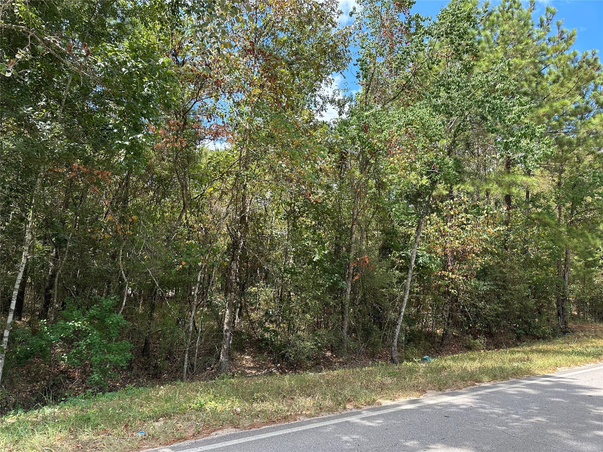 4723 Oak Knoll Lane Property Photo 9