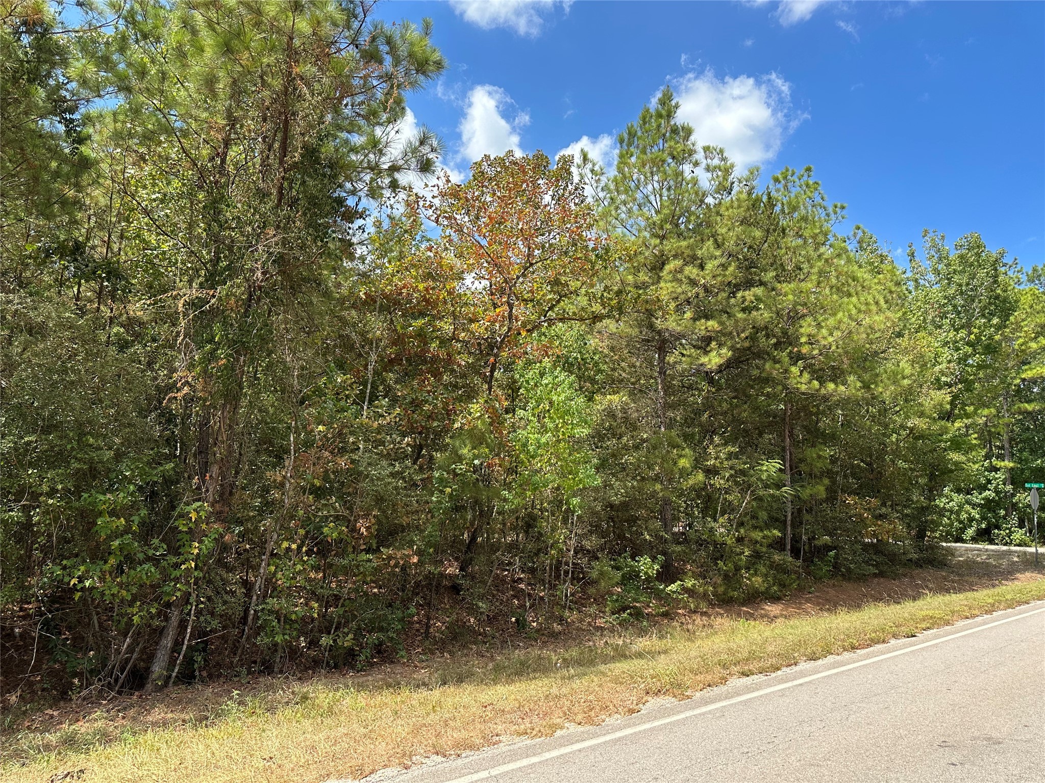 4723 Oak Knoll Lane Property Photo 10