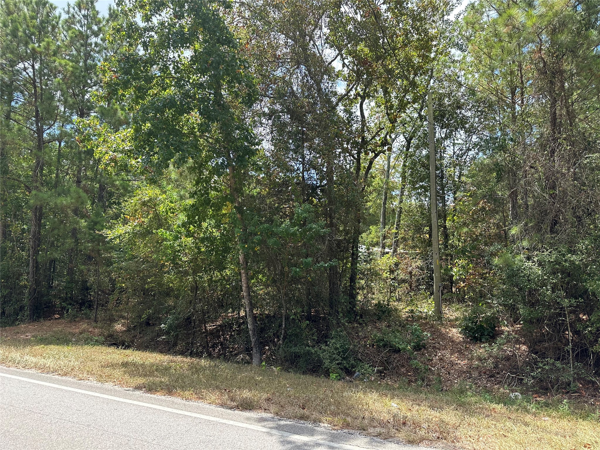 4723 Oak Knoll Lane Property Photo 11