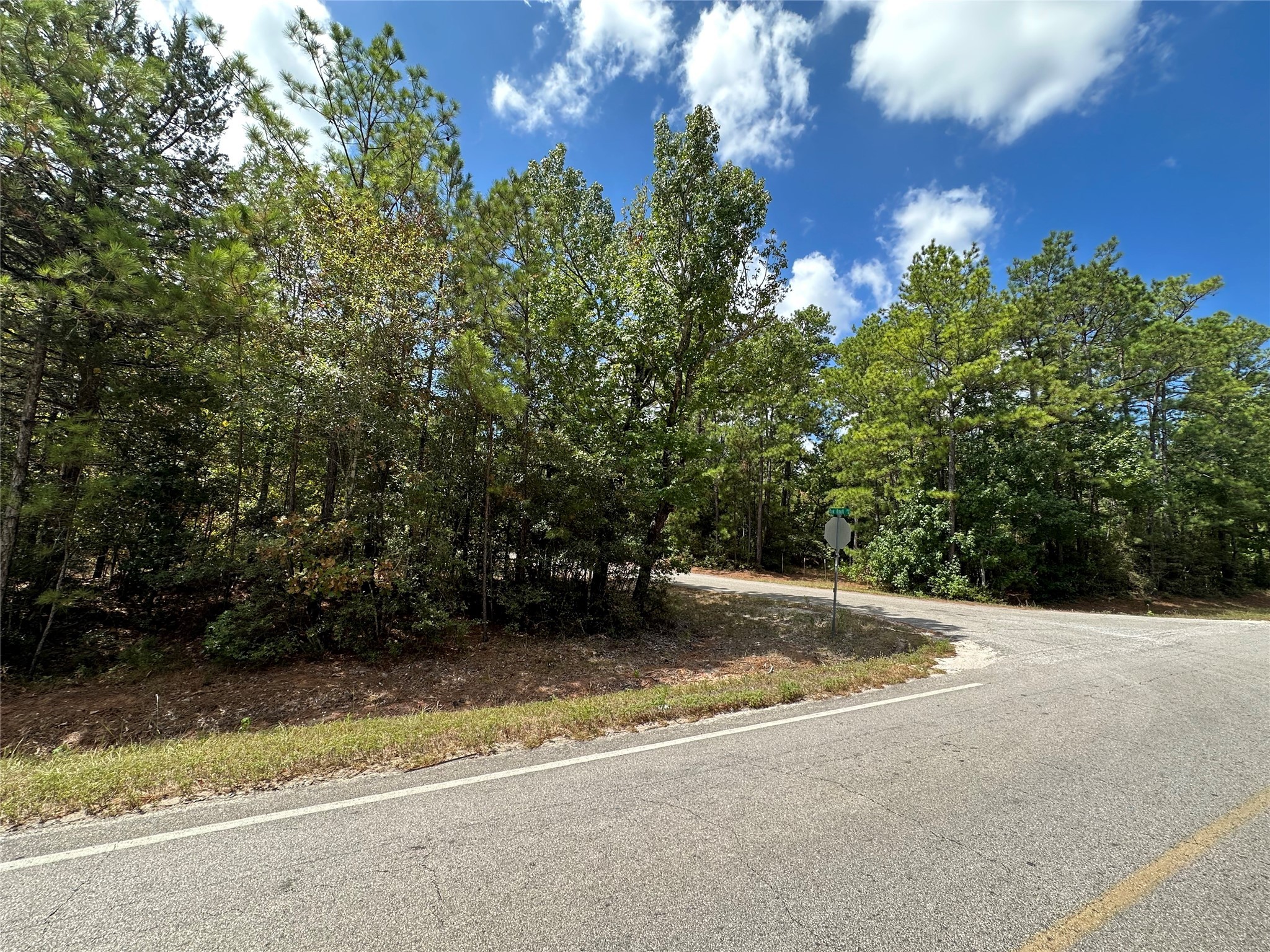 4723 Oak Knoll Lane Property Photo 13