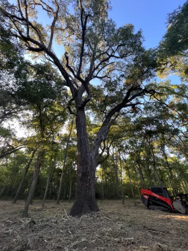 658 Pony Trail Property Photo 1