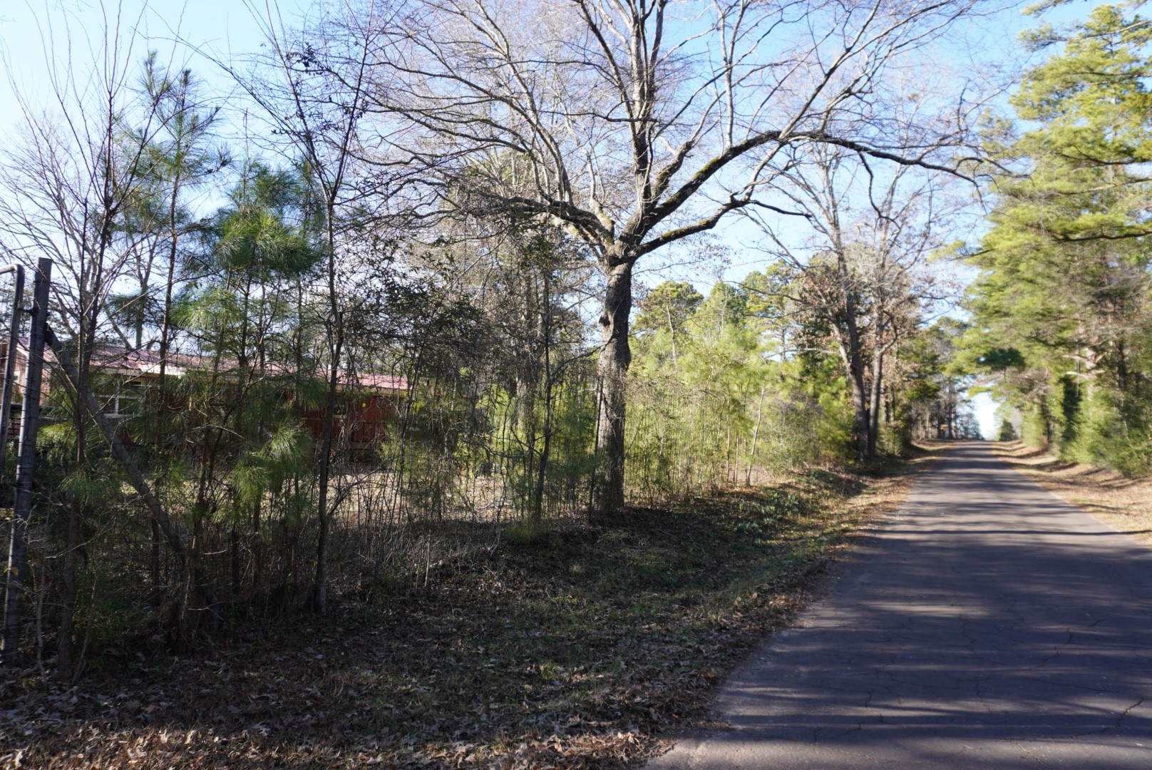 596 County Road 3690 Property Photo