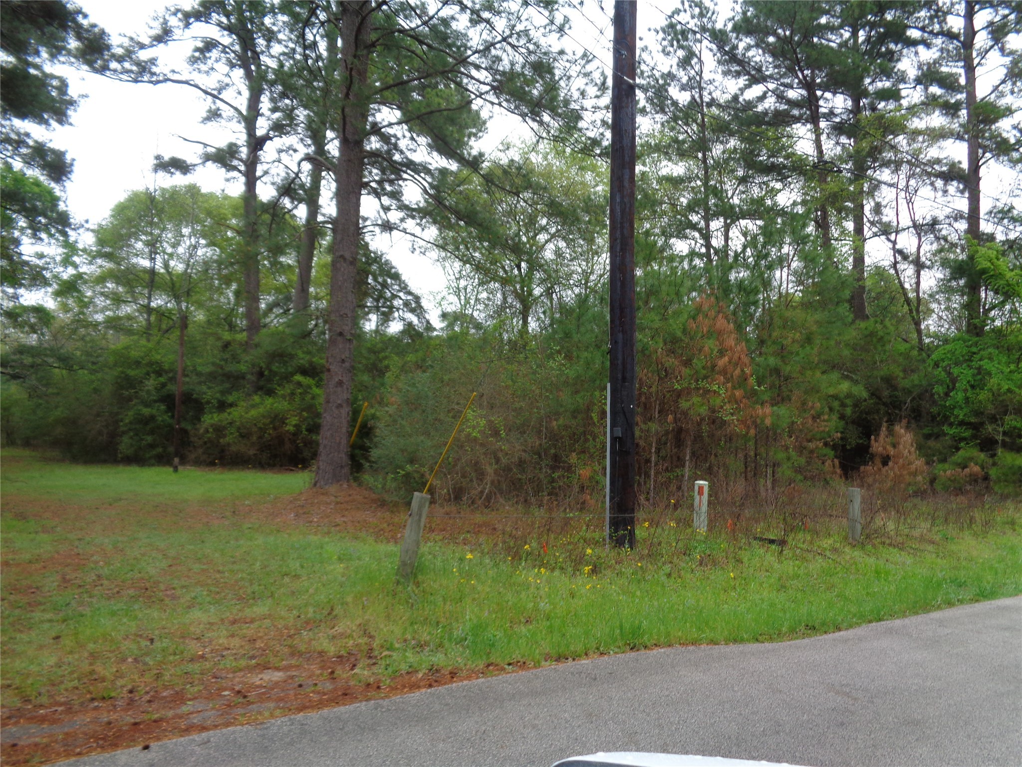 1223 Virgie Community Road Property Photo 1