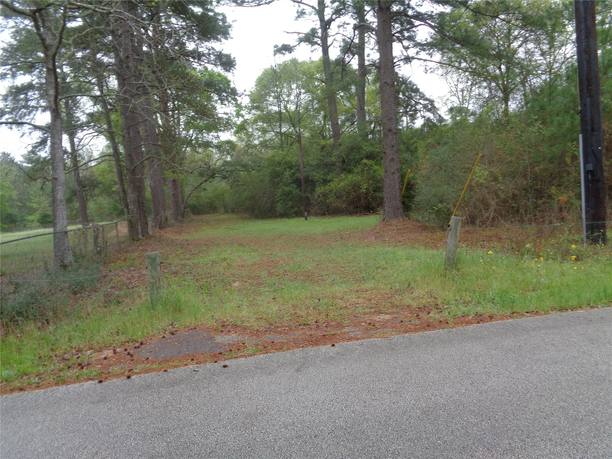 1223 Virgie Community Road Property Photo 2