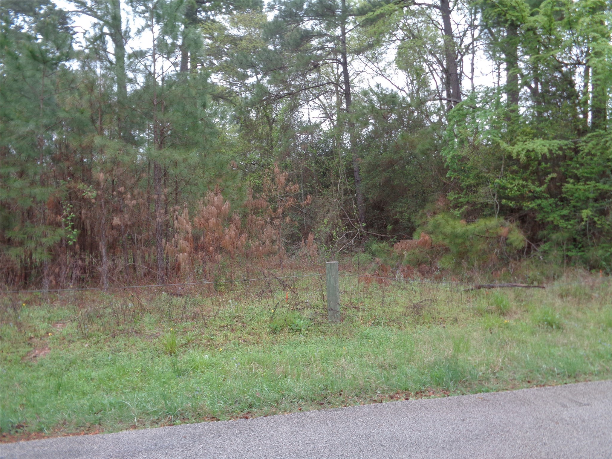 1223 Virgie Community Road Property Photo 3