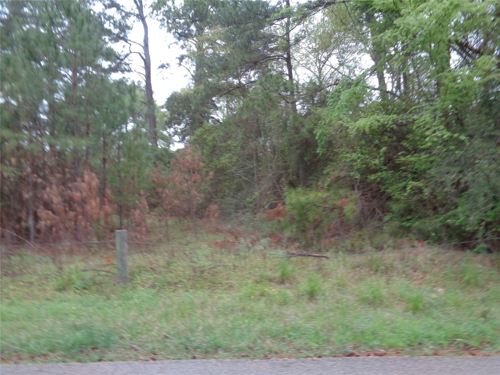 1223 Virgie Community Road Property Photo 4