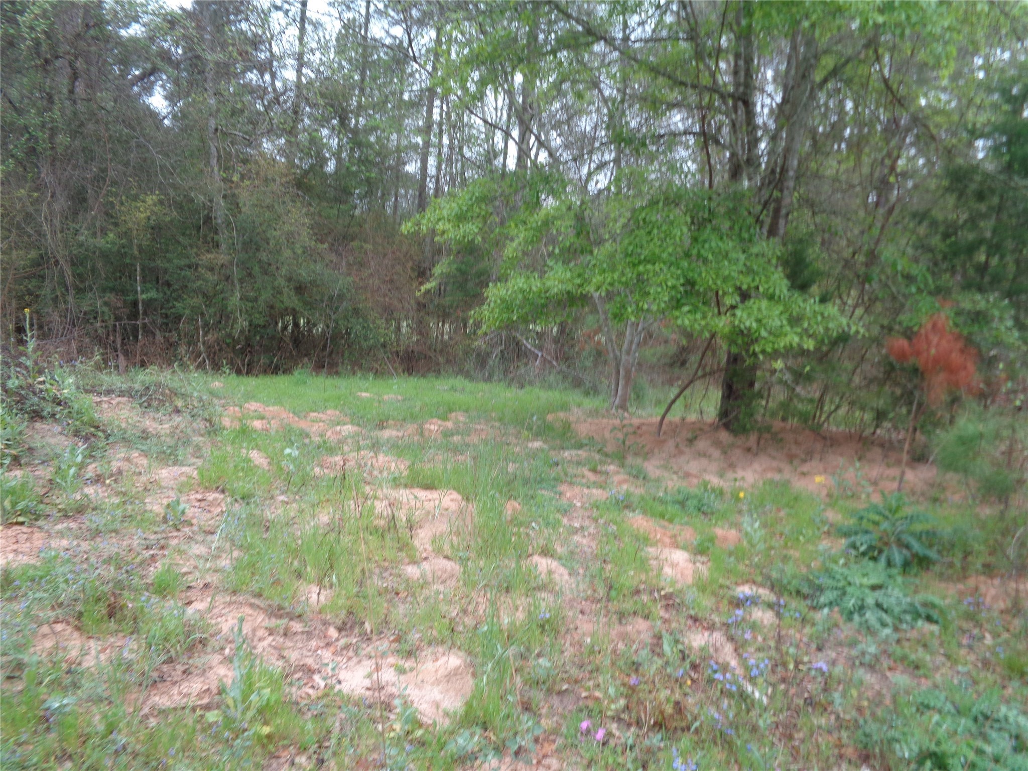 1223 Virgie Community Road Property Photo 6