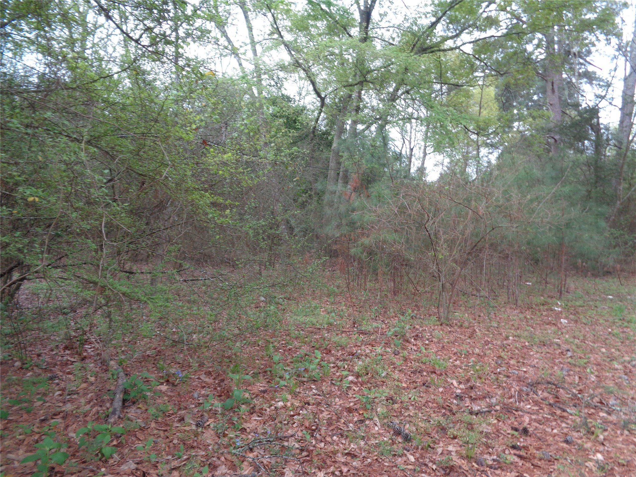 1223 Virgie Community Road Property Photo 7