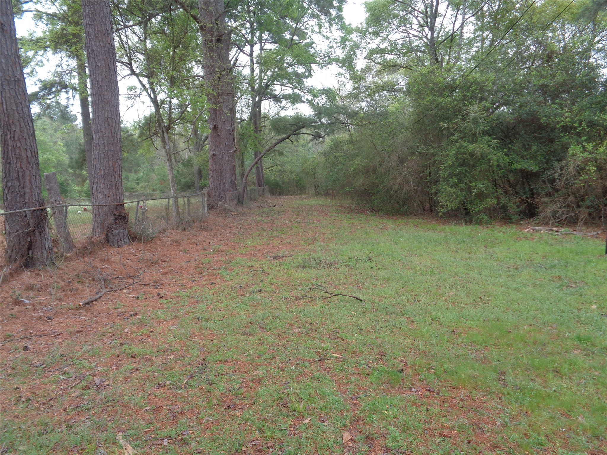 1223 Virgie Community Road Property Photo 8