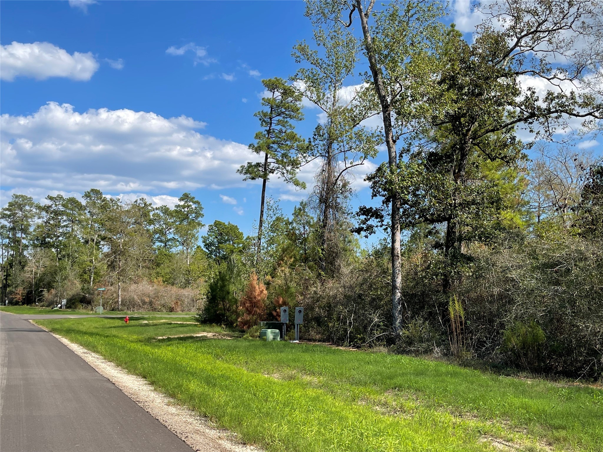 294 Iron Horse Road Property Photo 4