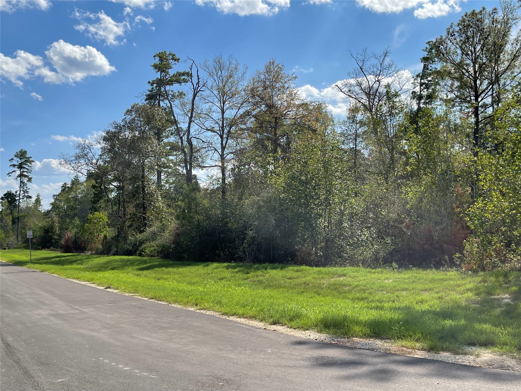 294 Iron Horse Road Property Photo 6