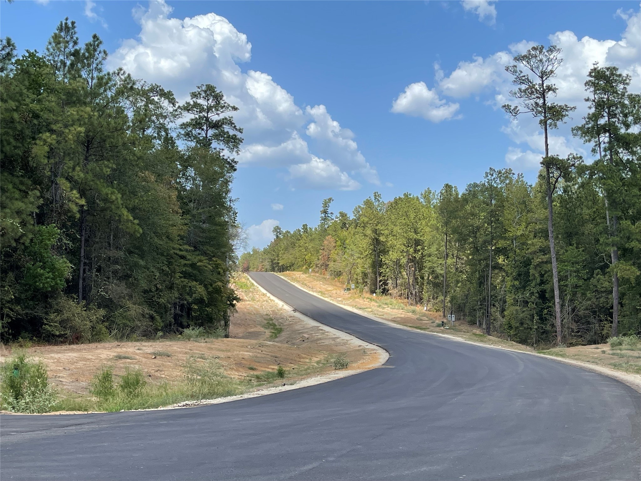 294 Iron Horse Road Property Photo 12